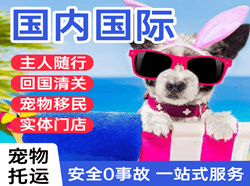 龙嘉空运地址国际宠物托运 【国